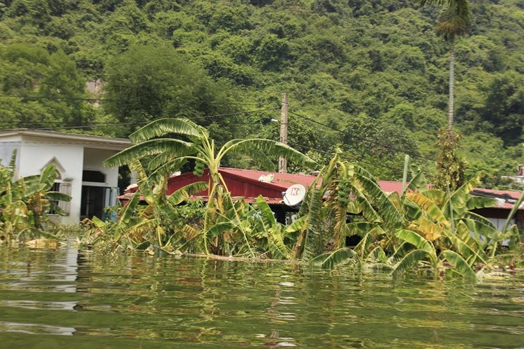 Người[-]dân[-]Việt[-]Hải[-]vẫn[-]khốn[-]khổ[-]vì[-]ngập[-]lụt